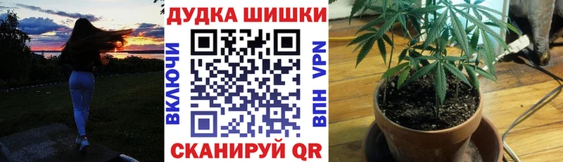 Бошки марихуана индика  мега маркетплейс  Тула 
